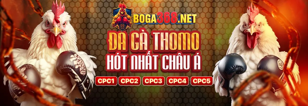 Đá gà trực tuyến 888to bet